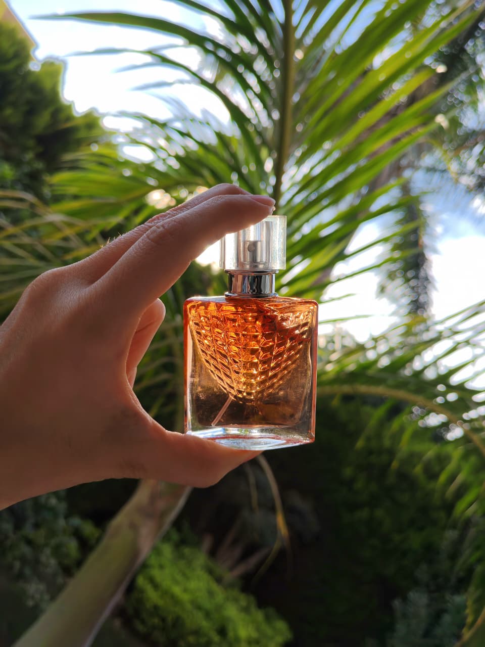 La Vie Est Belle L’Éclat - Image 2