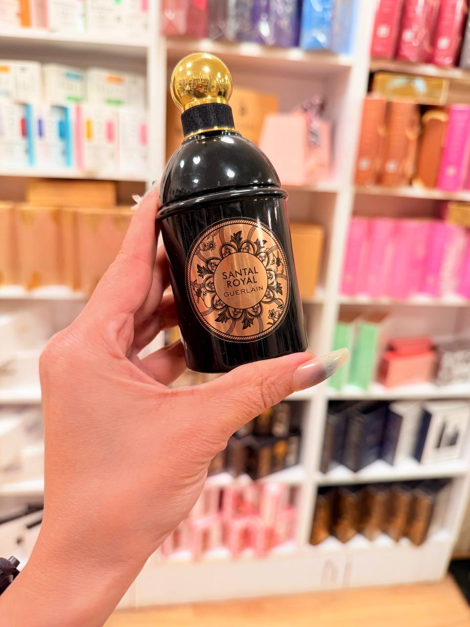 Santal Royal - Image 2